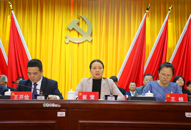 崔颖讲话.JPG