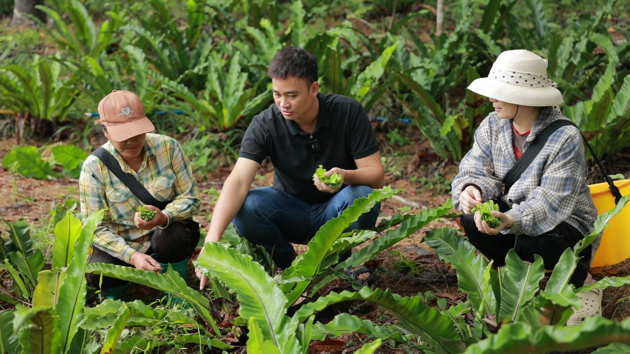 图片4.png 图片4.png