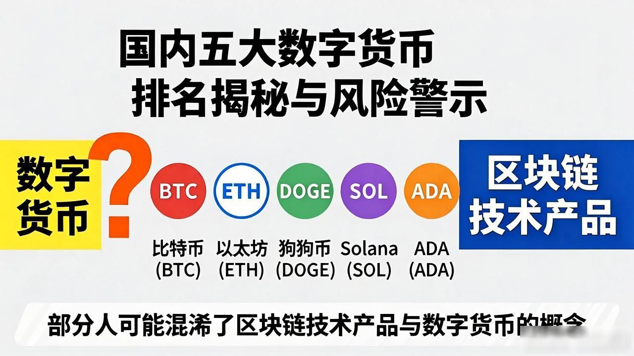 国内五大数字货币排名揭秘与风险警示